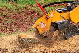 Best Stump Grinding and Removal  in Daniels Farm, CT